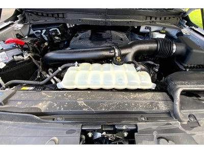 2021 Ford F-150 Tremor