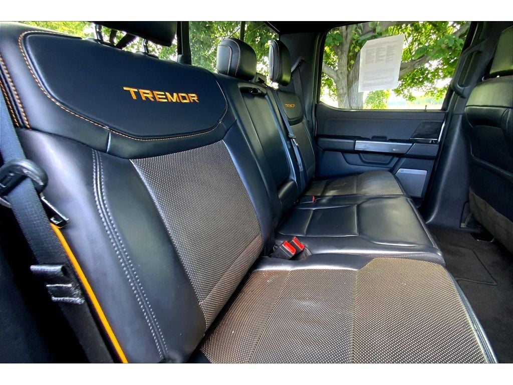 2021 Ford F-150 Tremor