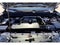 2023 Chevrolet Colorado 4WD Trail Boss