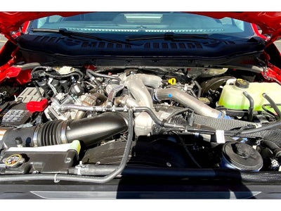 2025 Ford F-350 Super Duty XLT